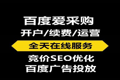 成功SEM服务案例分析报告